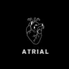 Atrial - Atrial - EP